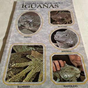 A Step-by- Step Book About Iguanas